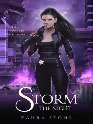 cover image of Storm the Night